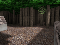 as_forest